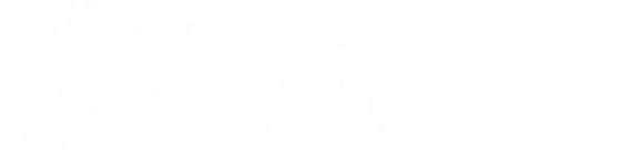 Clínica Santté — logotipo